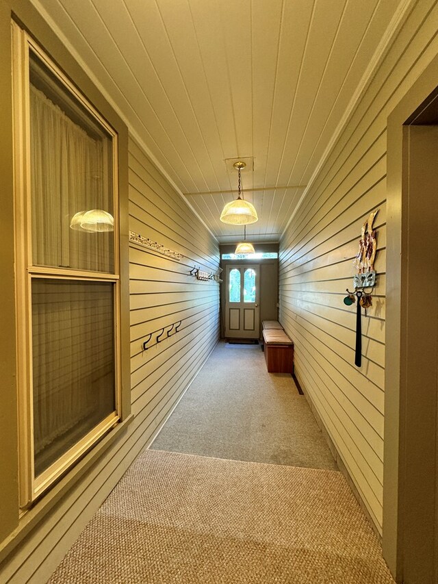 hallway featuring wood walls and carpet floors