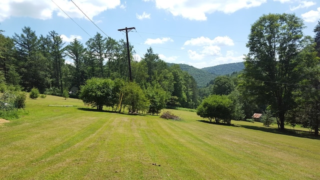 153 Pinneo Hill Rd, Oswayo, PA 16915 - surrounding community featuring a mountain view and a yard