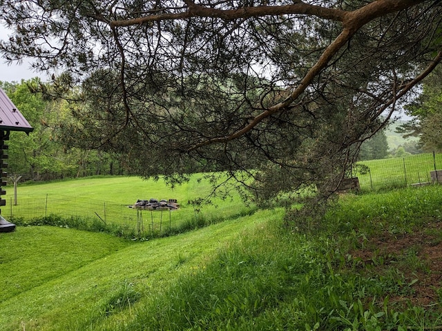 153 Pinneo Hill Rd, Oswayo, PA 16915 - view of yard