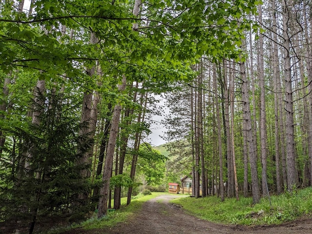 153 Pinneo Hill Rd, Oswayo, PA 16915 - view of dirt / gravel road with a wooded view