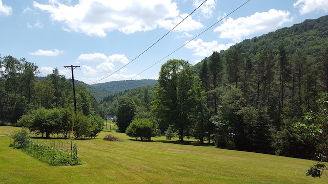 153 Pinneo Hill Rd, Oswayo, PA 16915 - view of mountain backdrop featuring a forest
