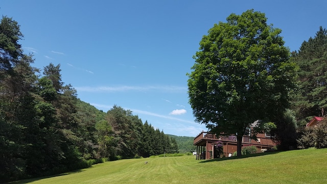 153 Pinneo Hill Rd, Oswayo, PA 16915 - view of green lawn featuring a deck and a view of trees