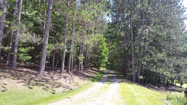 153 Pinneo Hill Rd, Oswayo, PA 16915 - view of road featuring a forest view