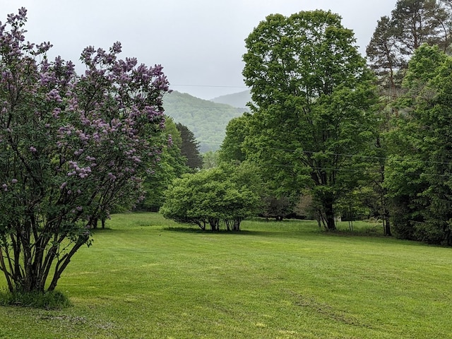 153 Pinneo Hill Rd, Oswayo, PA 16915 - view of grassy yard featuring a mountain view