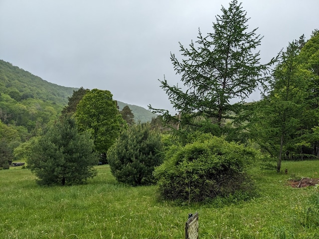 153 Pinneo Hill Rd, Oswayo, PA 16915 - view of mountain background
