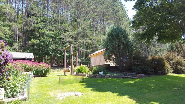 153 Pinneo Hill Rd, Oswayo, PA 16915 - view of grassy yard