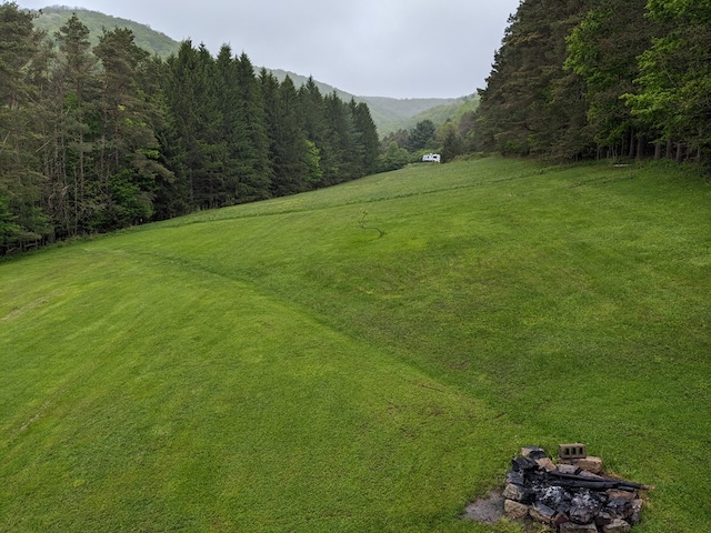 153 Pinneo Hill Rd, Oswayo, PA 16915 - view of grassy yard with a view of trees and a mountain view