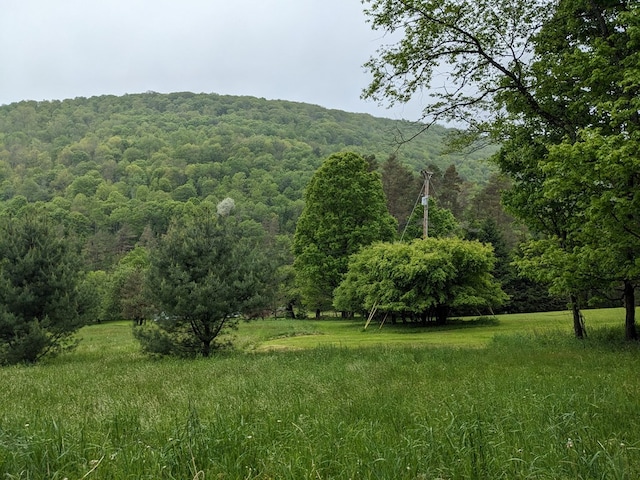 153 Pinneo Hill Rd, Oswayo, PA 16915 - view of mountain backdrop with a heavily wooded area