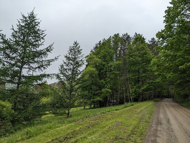 153 Pinneo Hill Rd, Oswayo, PA 16915 - view of dirt / gravel road featuring a forest view