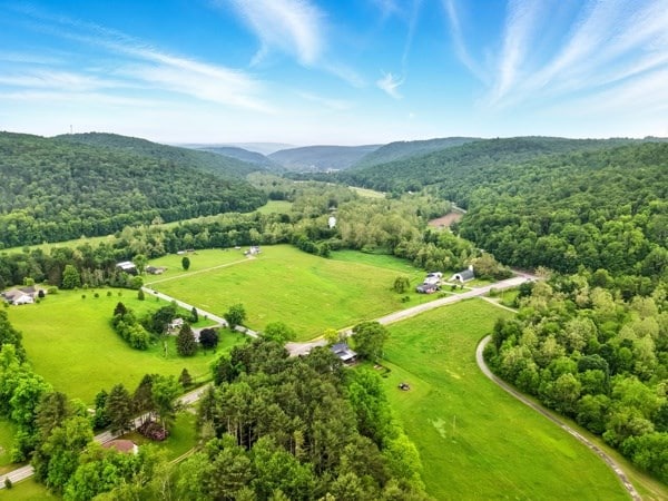 175 Rte 467, Wysox, PA 18854 - view of rural area with a heavily wooded area and a mountain backdrop