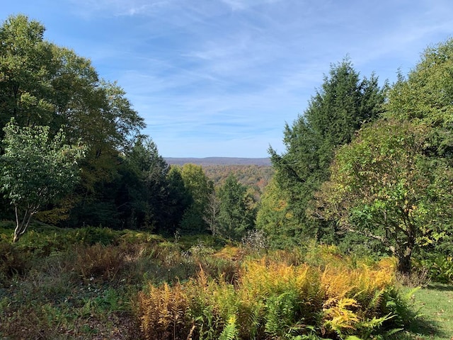 view of local wilderness with a forest view