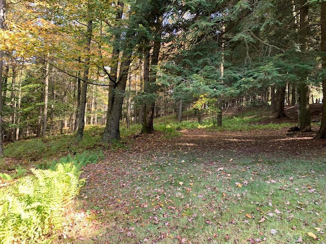 view of yard with a wooded view
