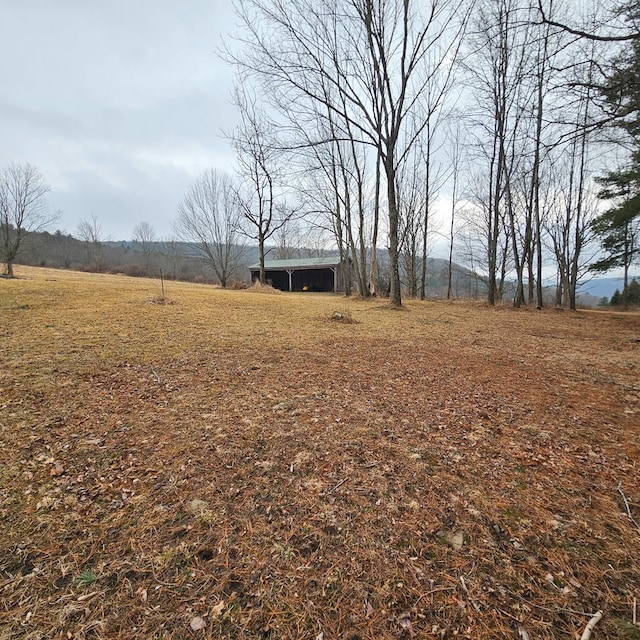 view of yard featuring a rural view