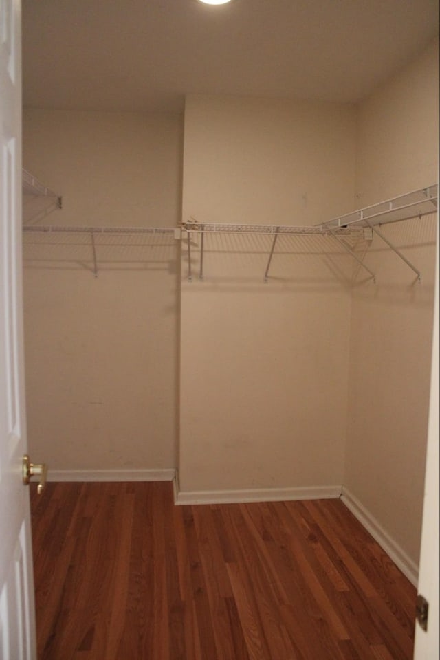 walk in closet with hardwood / wood-style floors