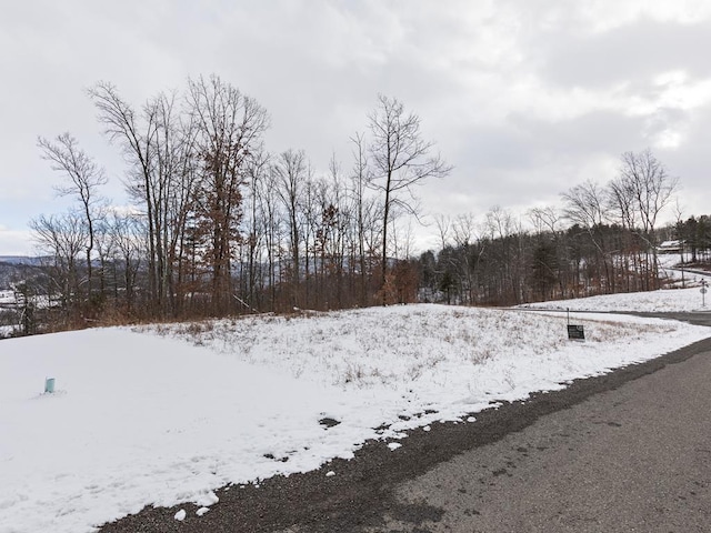 LOT39 Hemlock Hills Rd, Towanda PA, 18848 land for sale