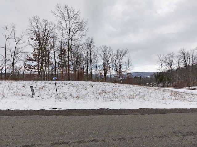 Listing photo 3 for LOT39 Hemlock Hills Rd, Towanda PA 18848