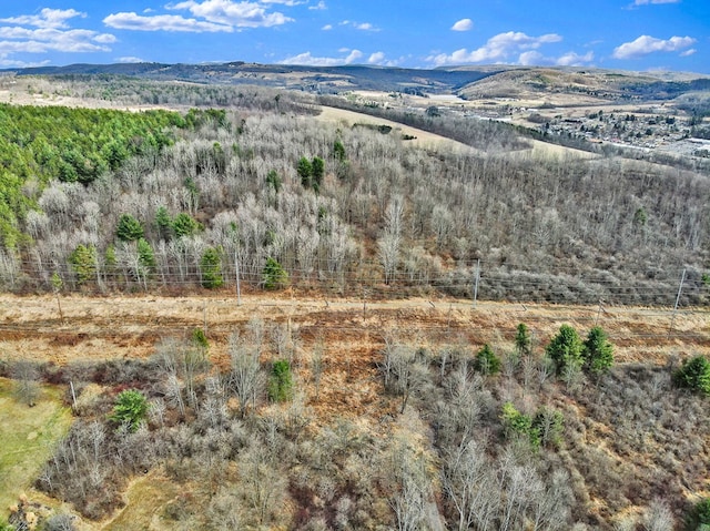 126 Buena Vista St, Wellsboro, PA 16901