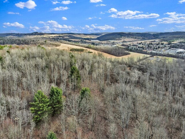 126 Buena Vista St, Wellsboro, PA 16901