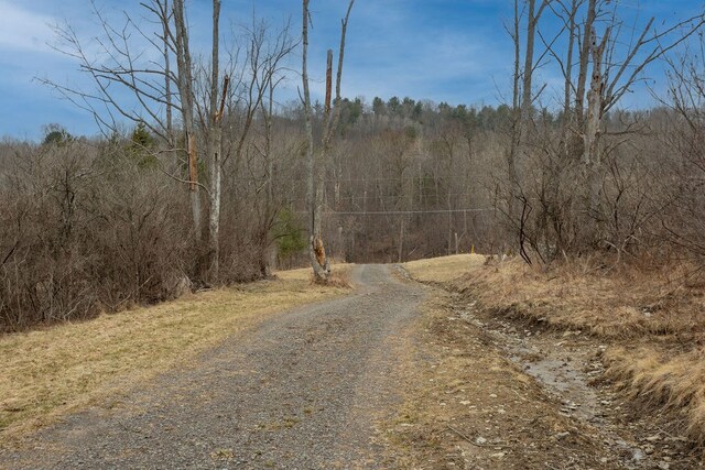 126 Buena Vista St, Wellsboro, PA 16901