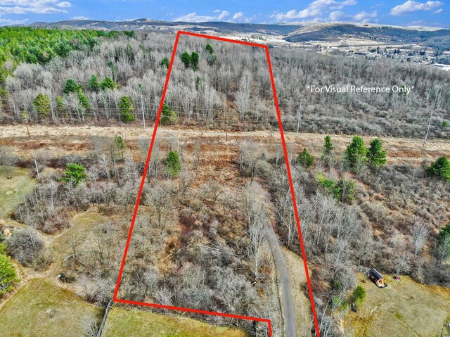126 Buena Vista St, Wellsboro, PA 16901
