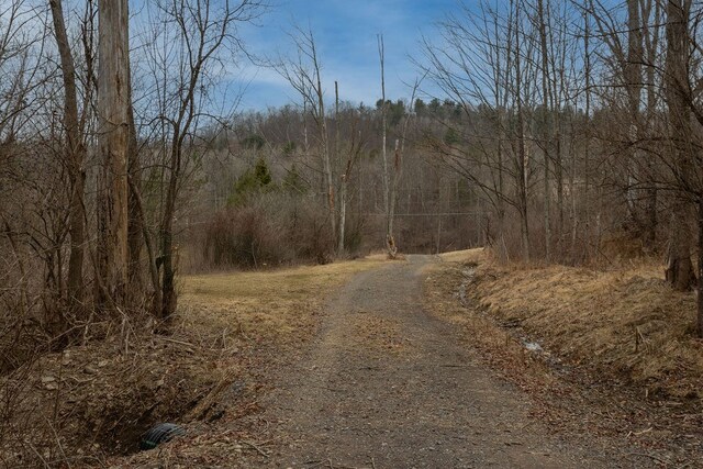 126 Buena Vista St, Wellsboro, PA 16901
