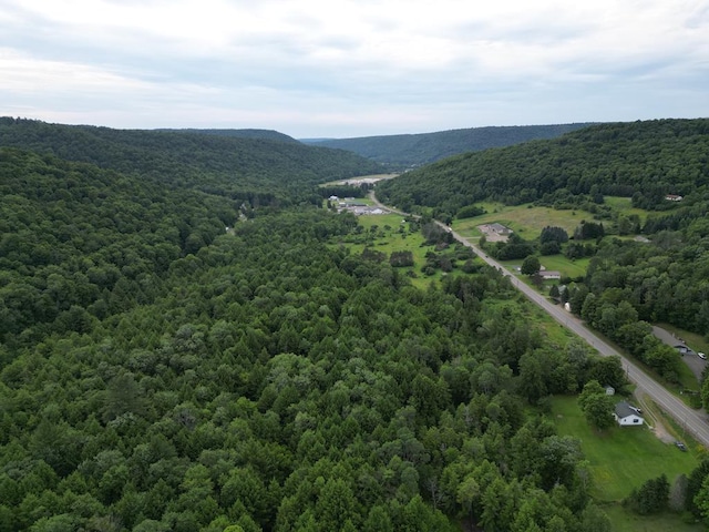 151 Ice Mine Rd, Coudersport, PA 16915 - drone / aerial view of a heavily wooded area
