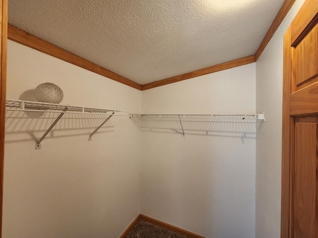 151 Ice Mine Rd, Coudersport, PA 16915 - walk in closet featuring carpet floors