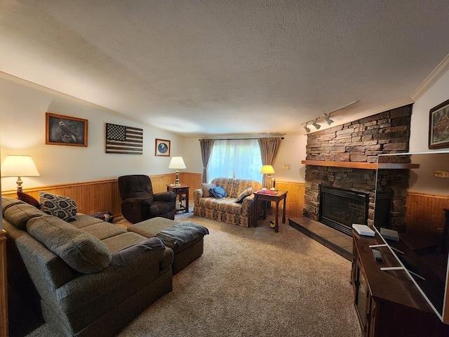 151 Ice Mine Rd, Coudersport, PA 16915 - living room featuring a wainscoted wall, wood walls, a textured ceiling, a fireplace, and track lighting
