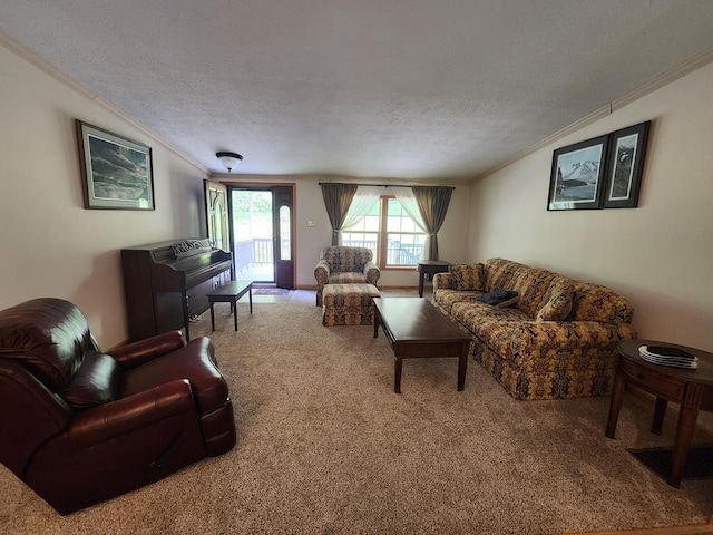 151 Ice Mine Rd, Coudersport, PA 16915 - carpeted living area with ornamental molding and a textured ceiling
