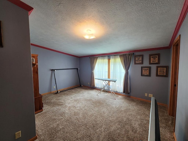 151 Ice Mine Rd, Coudersport, PA 16915 - spare room with crown molding, carpet floors, and a textured ceiling