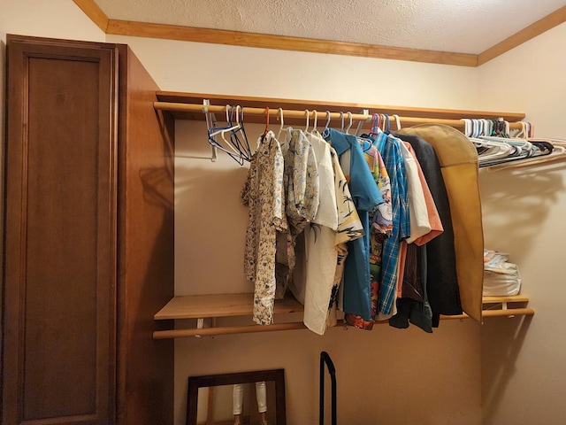 151 Ice Mine Rd, Coudersport, PA 16915 - view of walk in closet