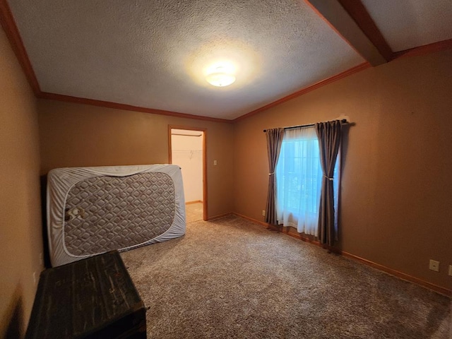 151 Ice Mine Rd, Coudersport, PA 16915 - unfurnished room featuring carpet floors, a textured ceiling, and crown molding