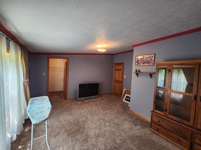 151 Ice Mine Rd, Coudersport, PA 16915 - carpeted living room with ornamental molding and a textured ceiling