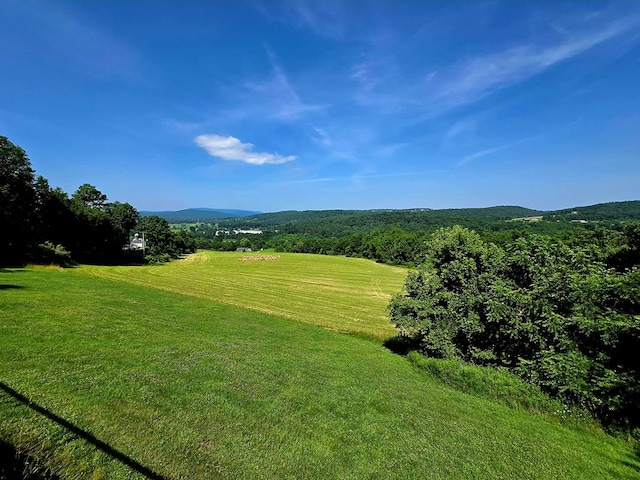 401 Valley View Rd, Wyalusing, PA 18853 - mountain view