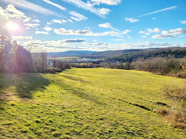 view of yard featuring a mountain view