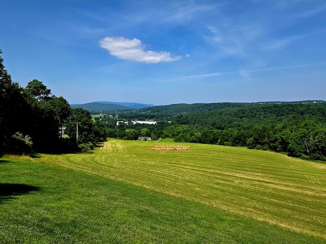401 Valley View Rd, Wyalusing, PA 18853 - view of mountain background with a forest