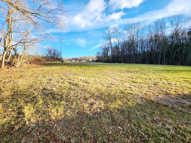 view of yard with a rural view