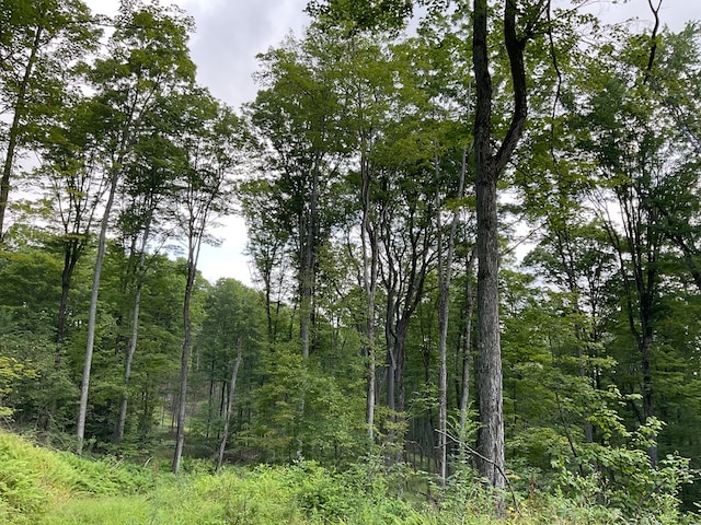 000 Canada Hollow Rd, Millport, PA 16748 - photo 6