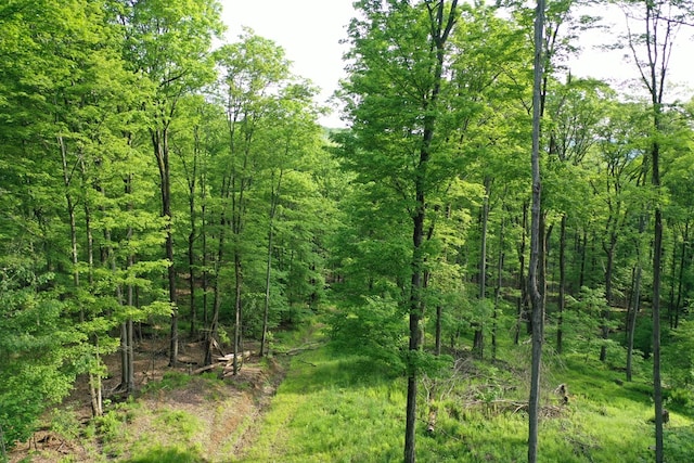 000 Canada Hollow Rd, Millport, PA 16748 - photo 4