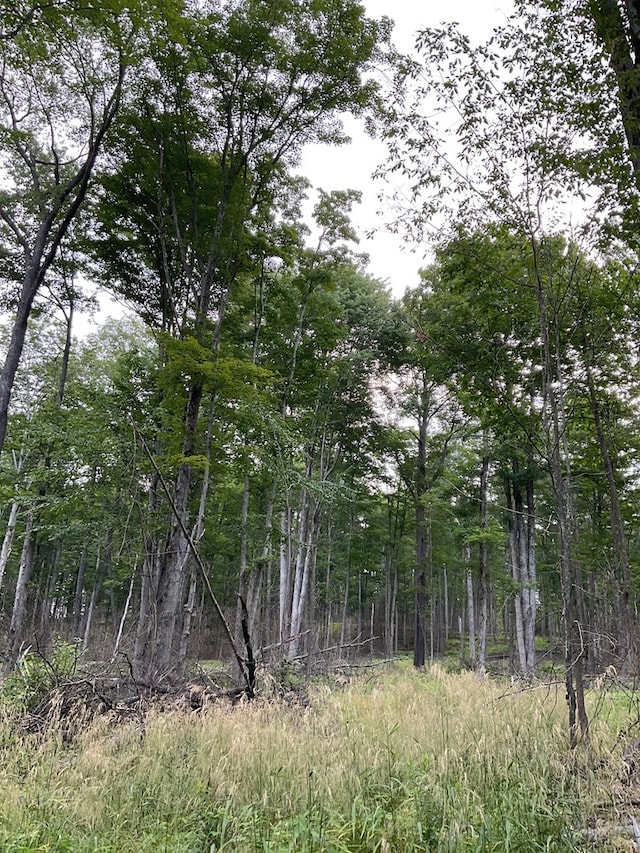 000 Canada Hollow Rd, Millport, PA 16748 - photo 7