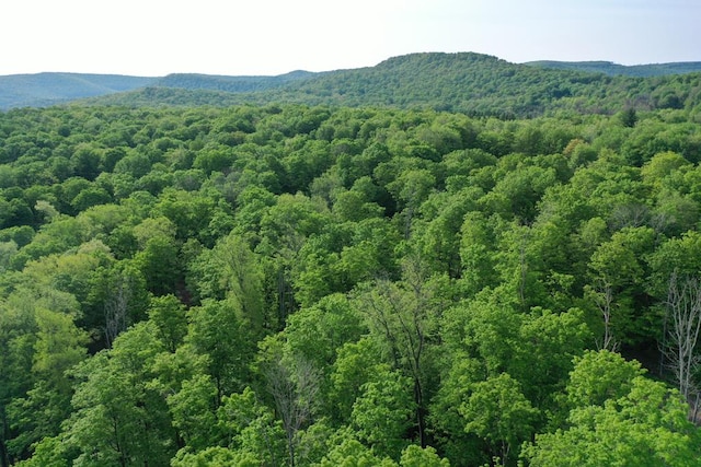 000 Canada Hollow Rd, Millport, PA 16748 - photo 1