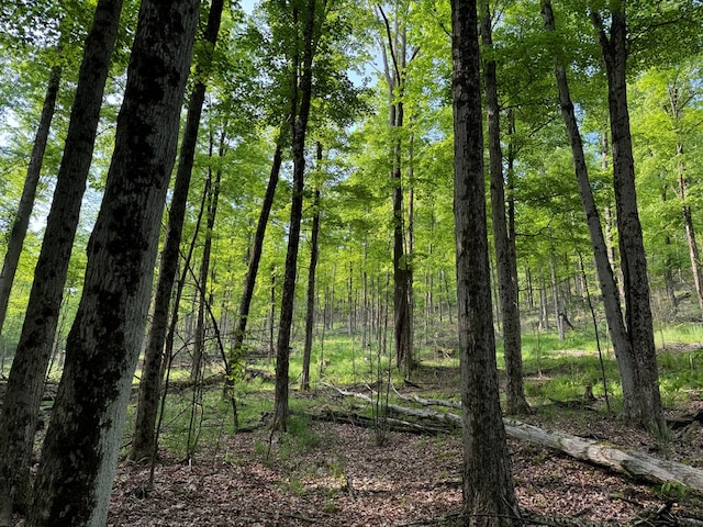 000 Canada Hollow Rd, Millport, PA 16748 - photo 5