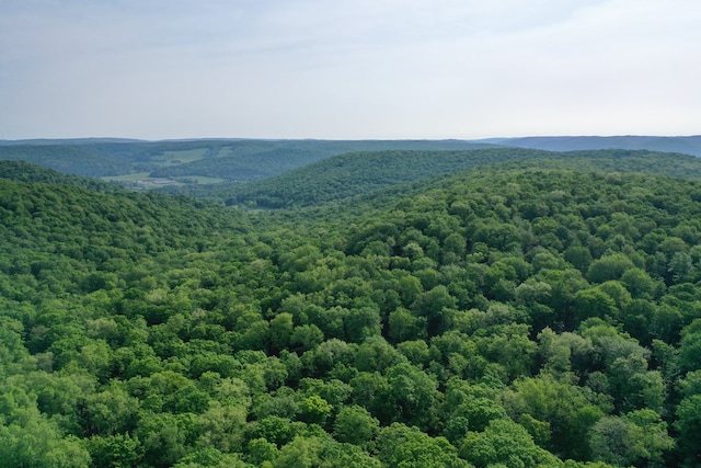 000 Canada Hollow Rd, Millport, PA 16748 - photo 2