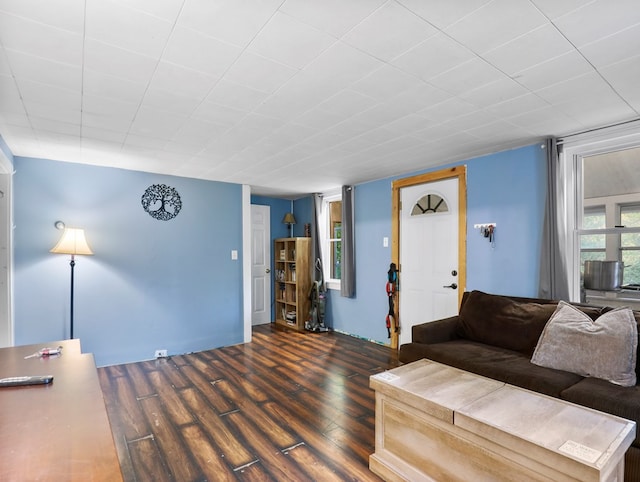 135 Middle Rd, Barton, NY 13734 - living area with dark wood finished floors