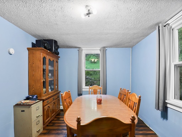 135 Middle Rd, Barton, NY 13734 - dining area with a textured ceiling, dark wood-style flooring, healthy amount of natural light, and a baseboard radiator