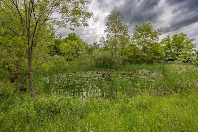 315 Old Tioga St, Wellsboro, PA 16901 - view of local wilderness