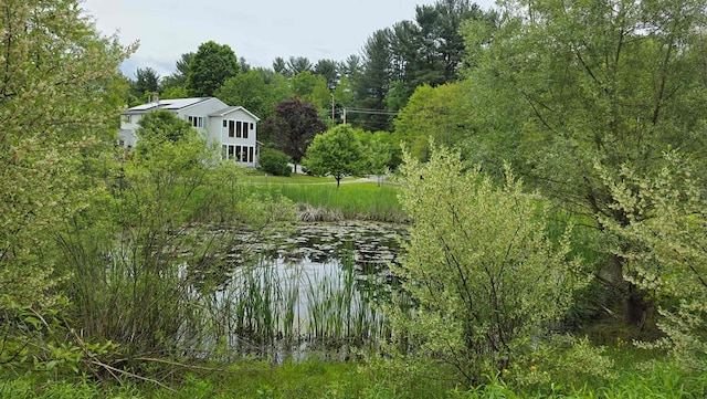 315 Old Tioga St, Wellsboro, PA 16901 - water view with a forest