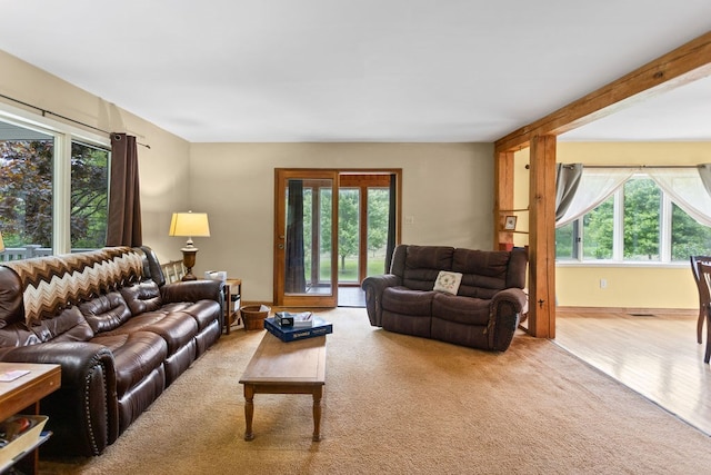 315 Old Tioga St, Wellsboro, PA 16901 - living room featuring carpet