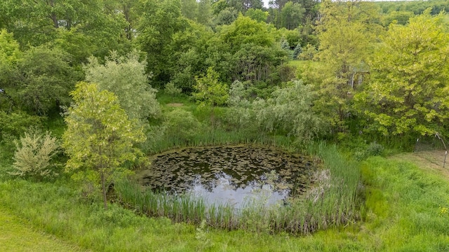 315 Old Tioga St, Wellsboro, PA 16901 - water view with a forest