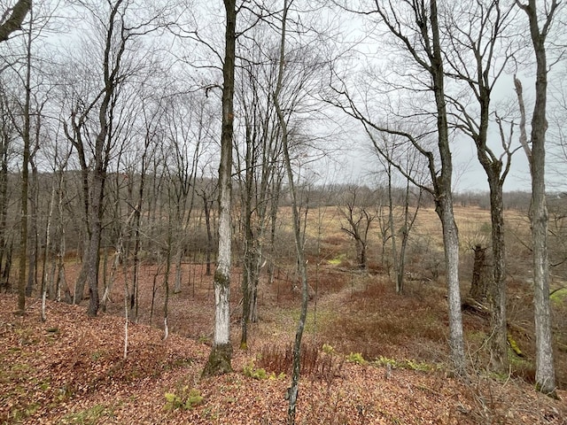 view of landscape